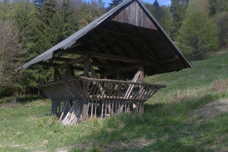 Z nášho revíru